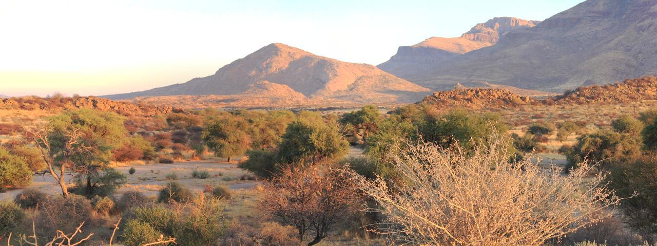 Hohenstein Lodge Usakos 外观 照片